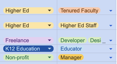 Spreadsheet screenshot of 2 columns, 5 values each, showing alumni job title examples.